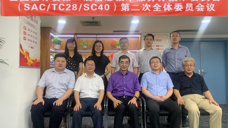 ERP实施顾问与IT咨询师：职能差异与职业定位