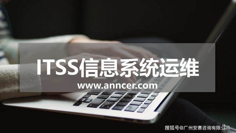政府项目驻场运维：时间要求背后的考量因素